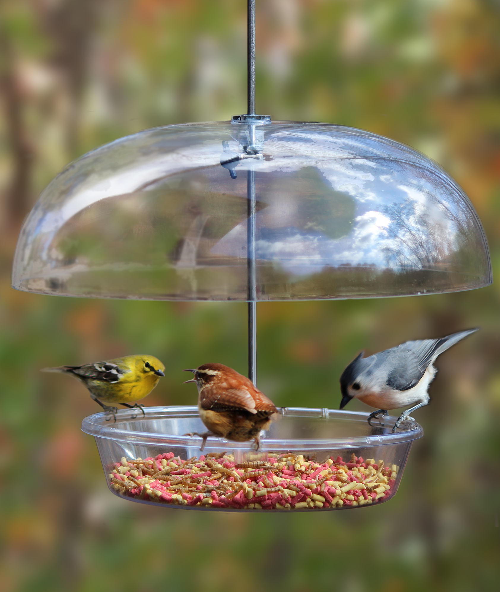 bird feeder, Cole's Wild Bird Products, Bountiful Bowl, new, dome feeder