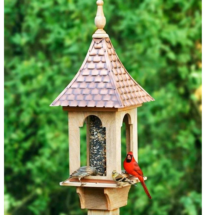 bird supplies stores near me