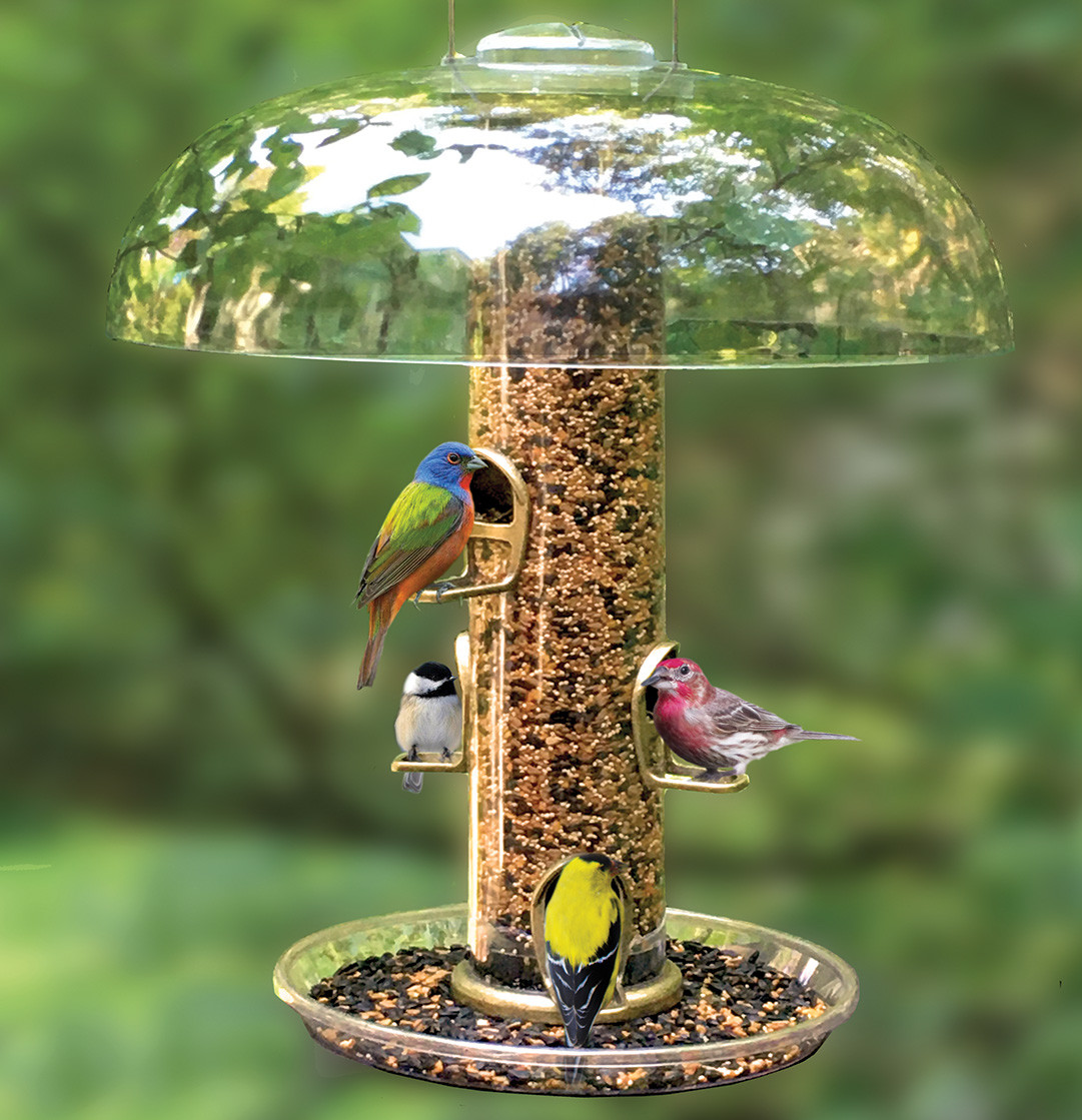 Bird seed, feeders, houses available at Bird Watcher Supply Company