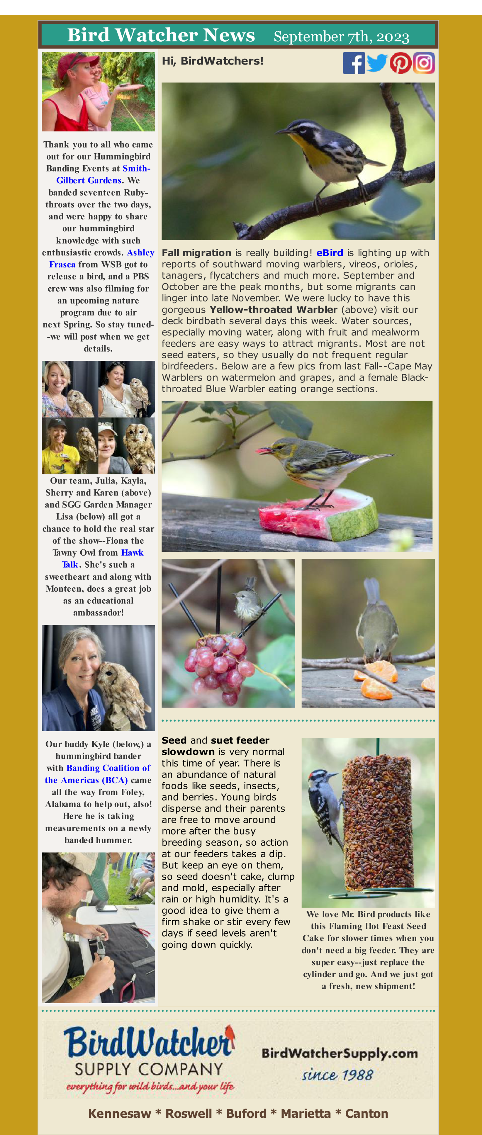 hummingbird, banding, fall, home, garden, decor, mr. bird, migration, warblers, fruit feeders, mealworms