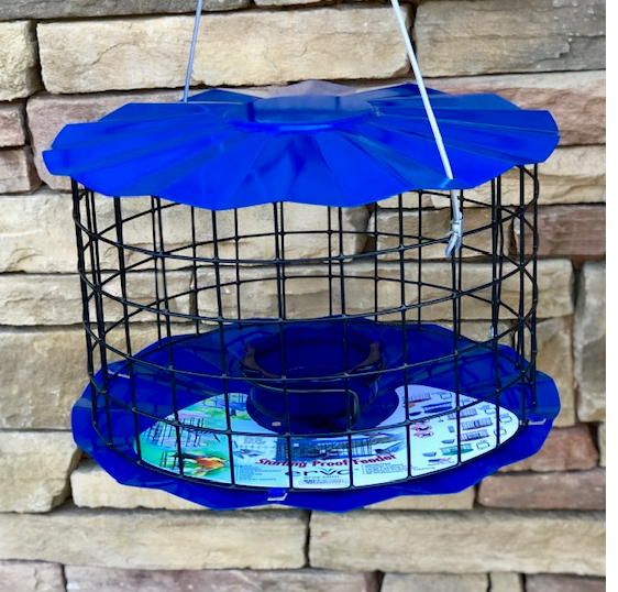 nature's way, bamboo feeder, bluebird, hot meats, pepper nuggets