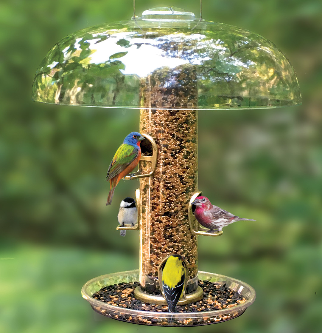 Bird seed, feeders, houses available at Bird Watcher Supply Company