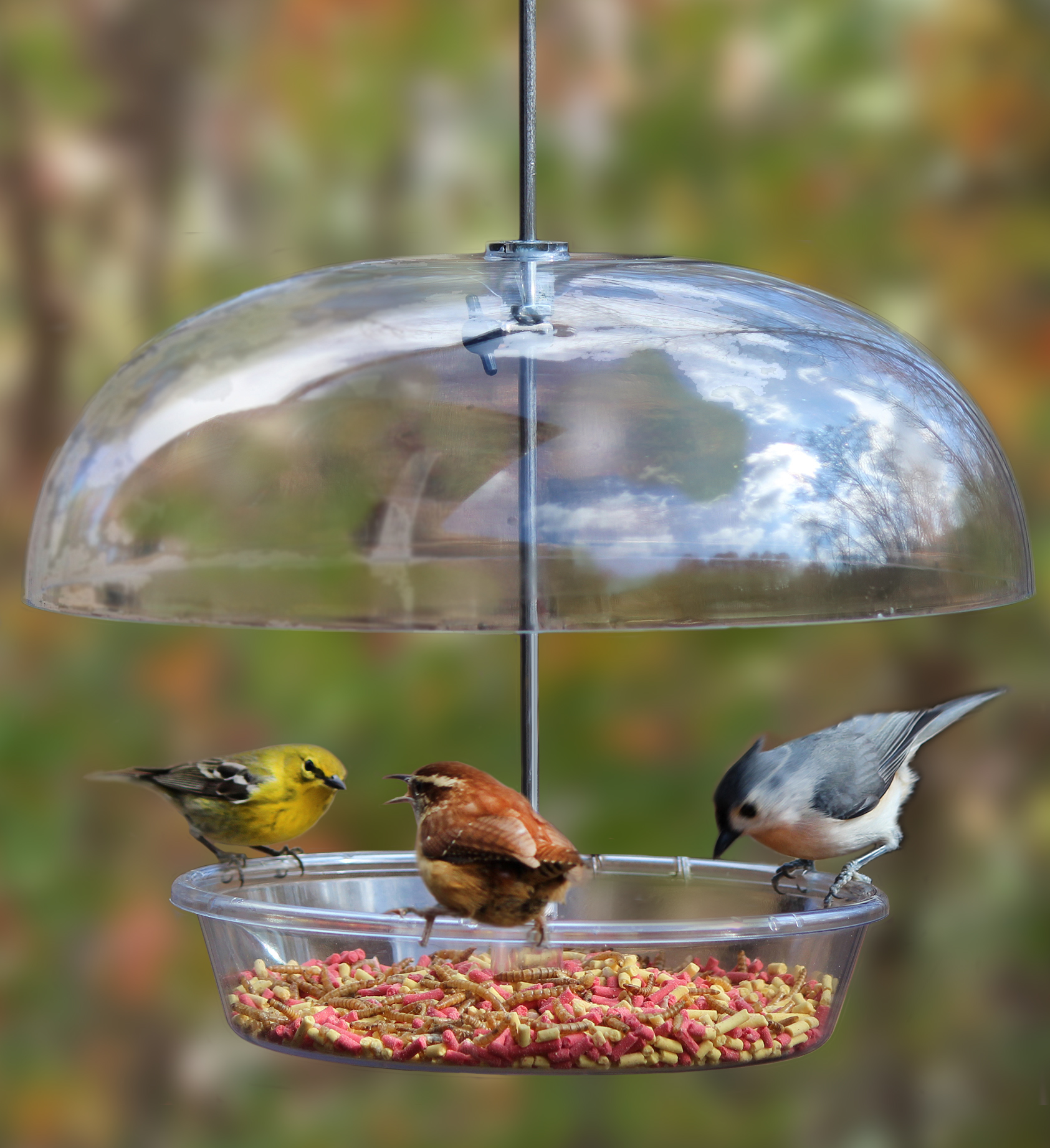 bird feeder, Cole's Wild Bird Products, Bountiful Bowl, new, dome feeder