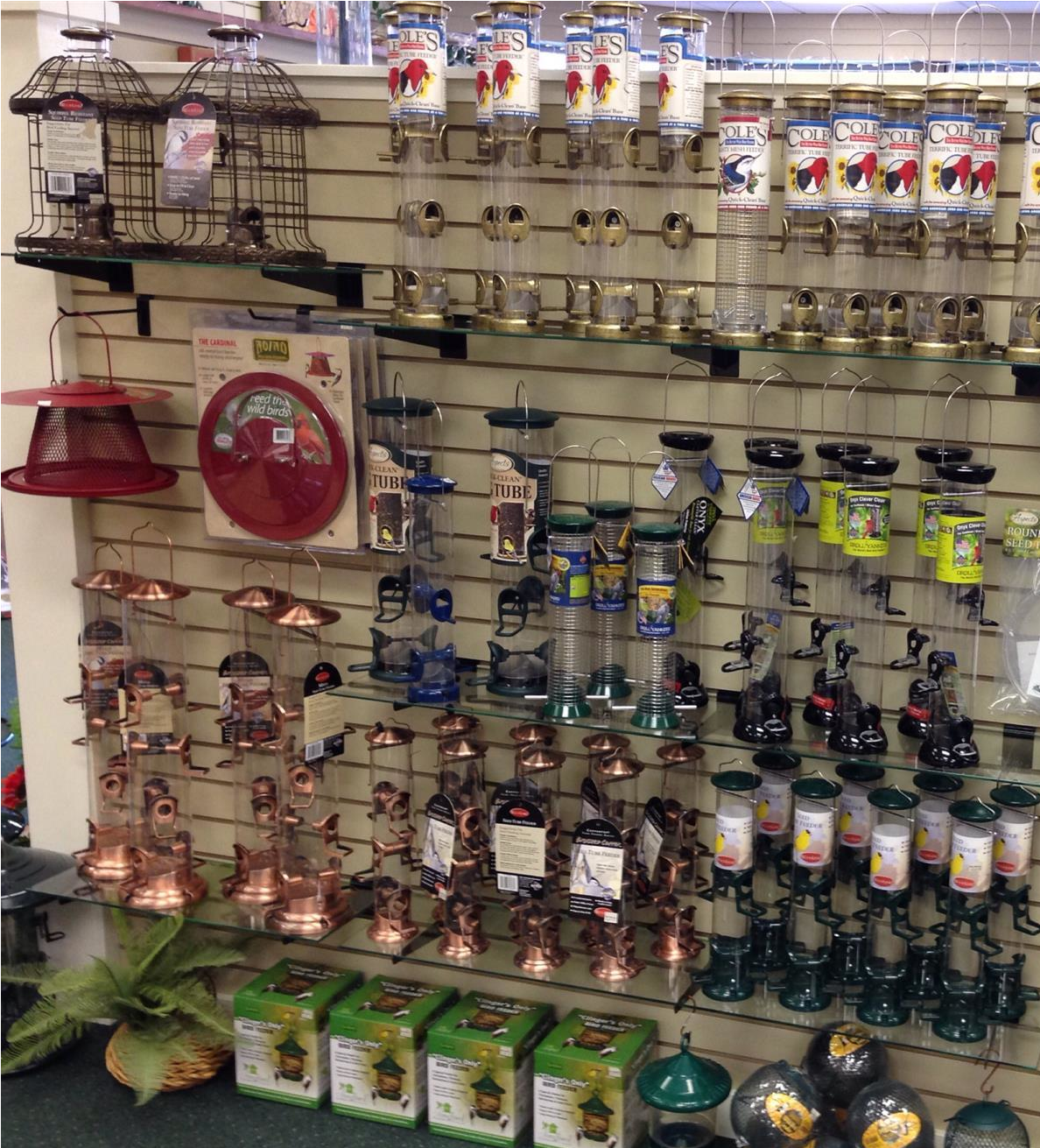 Bird seed, bird feeders, humming bird feeders available at Bird Watcher Supply Company
