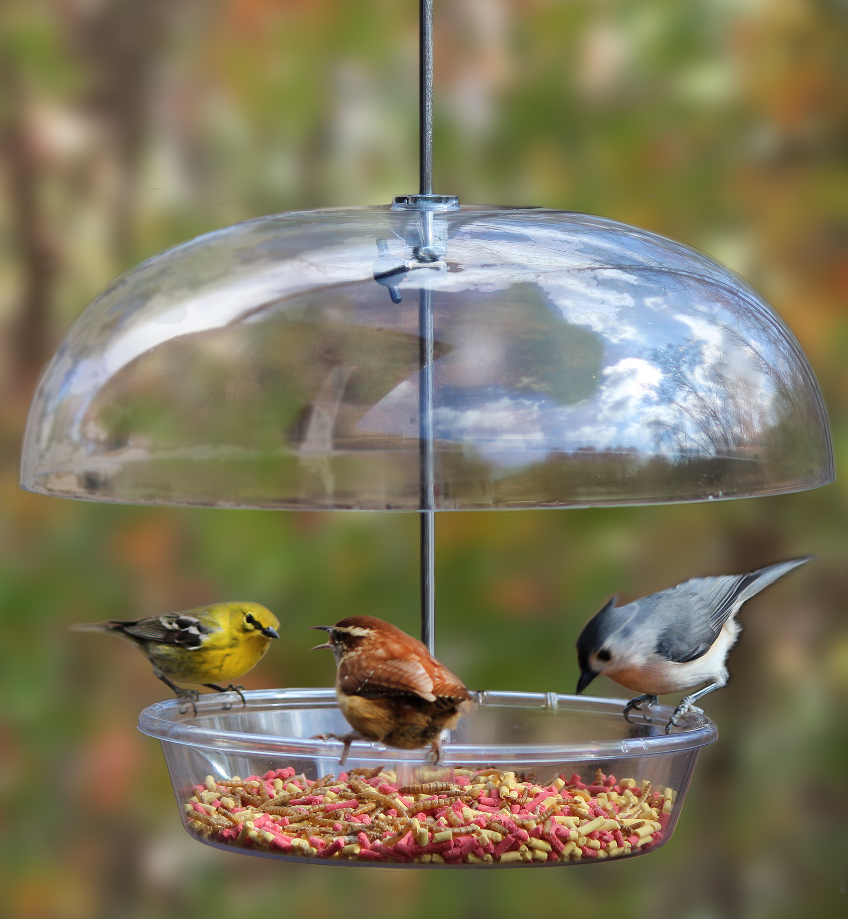 bird feeder, Cole's Wild Bird Products, Bountiful Bowl, new, dome feeder